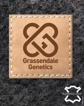 Leder Label Selbst Gestalten
